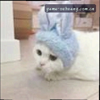 周强